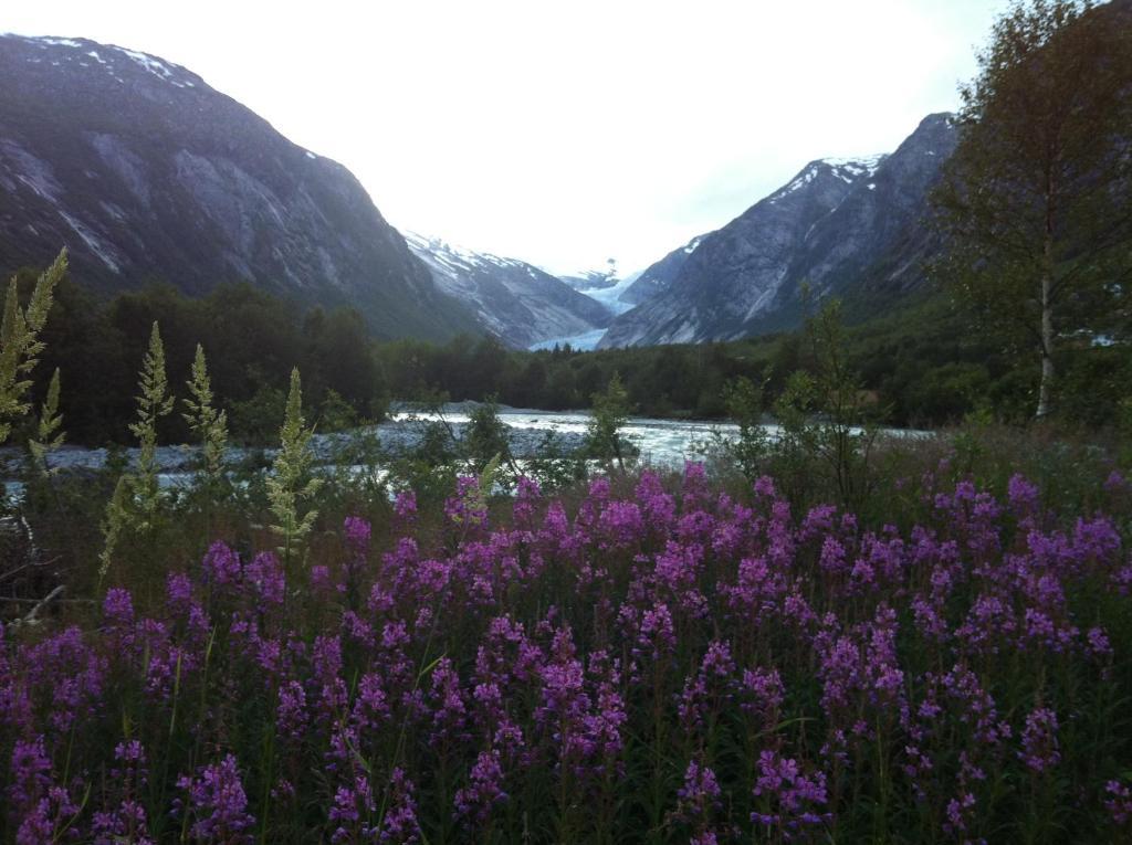 Nigardsbreen Lodge Luster ภายนอก รูปภาพ