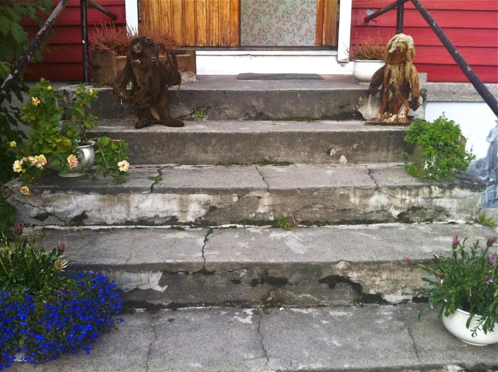 Nigardsbreen Lodge Luster ภายนอก รูปภาพ